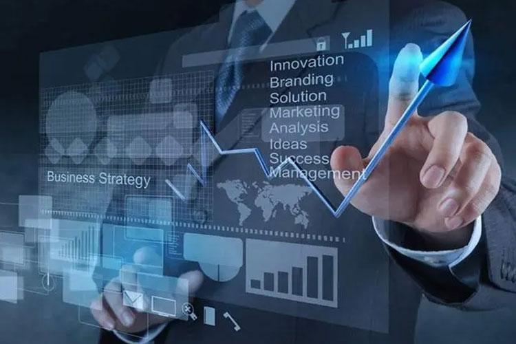 奇迹之龄，世界最长寿猫咪三十而立的非凡旅程