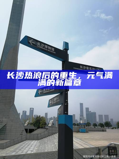 长沙热浪后的重生,元气满满的新篇章
